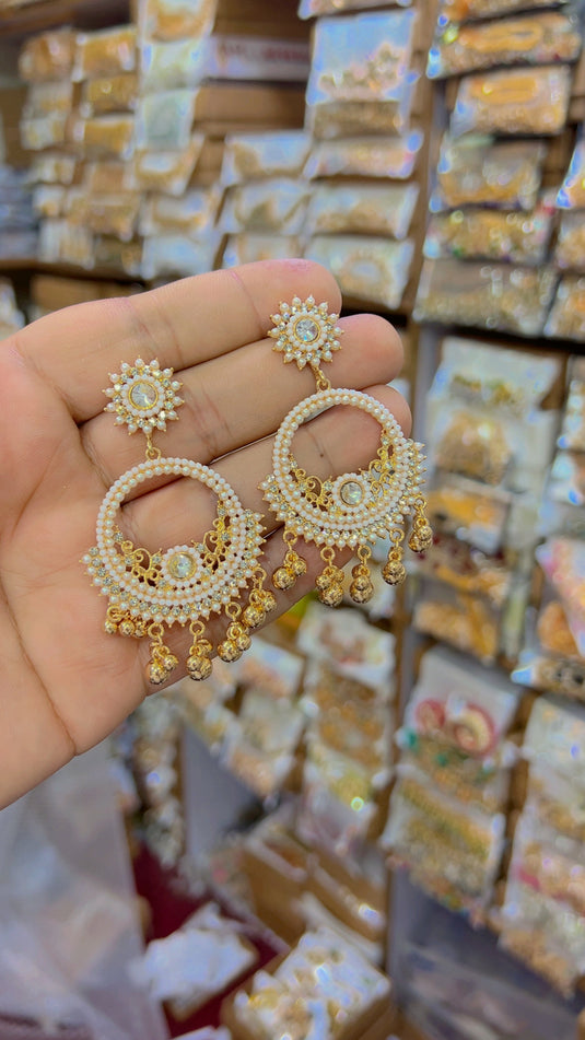 Fancy Earings(Er29)