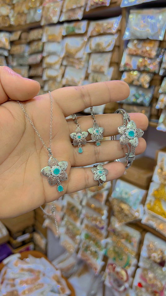 Chandi polish Combo set (Ls39)