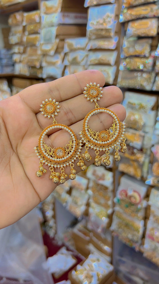 Fancy Earings(Er29)