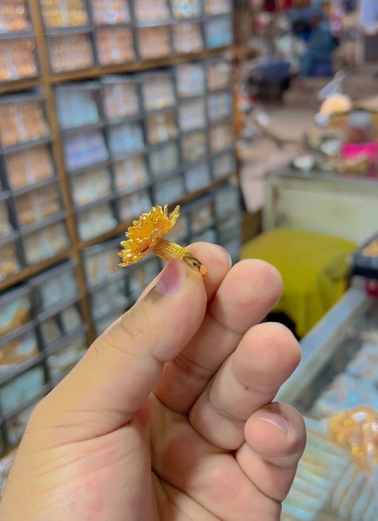 Gold plated Ring (Rg055)