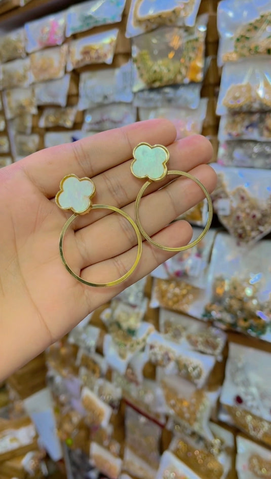 Stainless Steel Earrings(Er086)