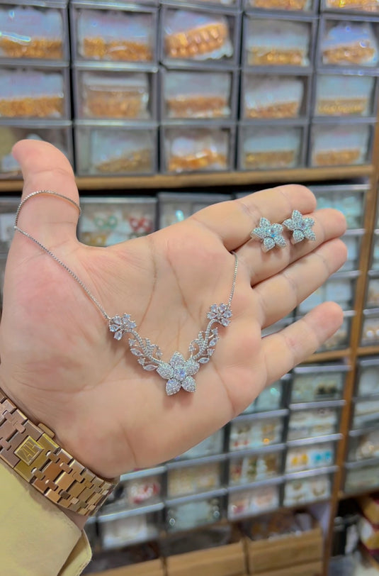 Chandi polish set (Ls073)