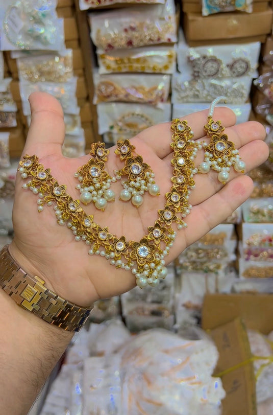 Rajwari style necklace set (Ns128)