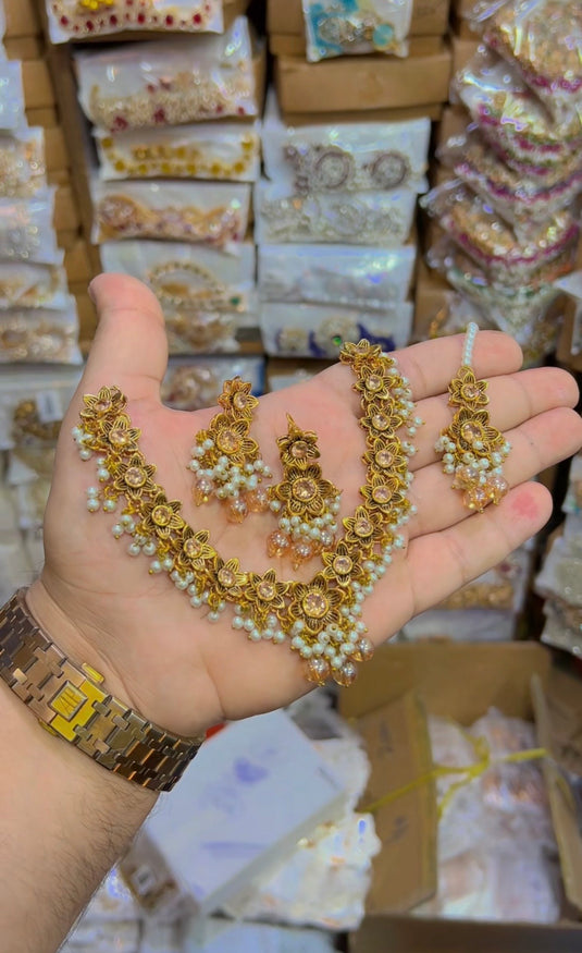 Rajwari style necklace set (Ns128)