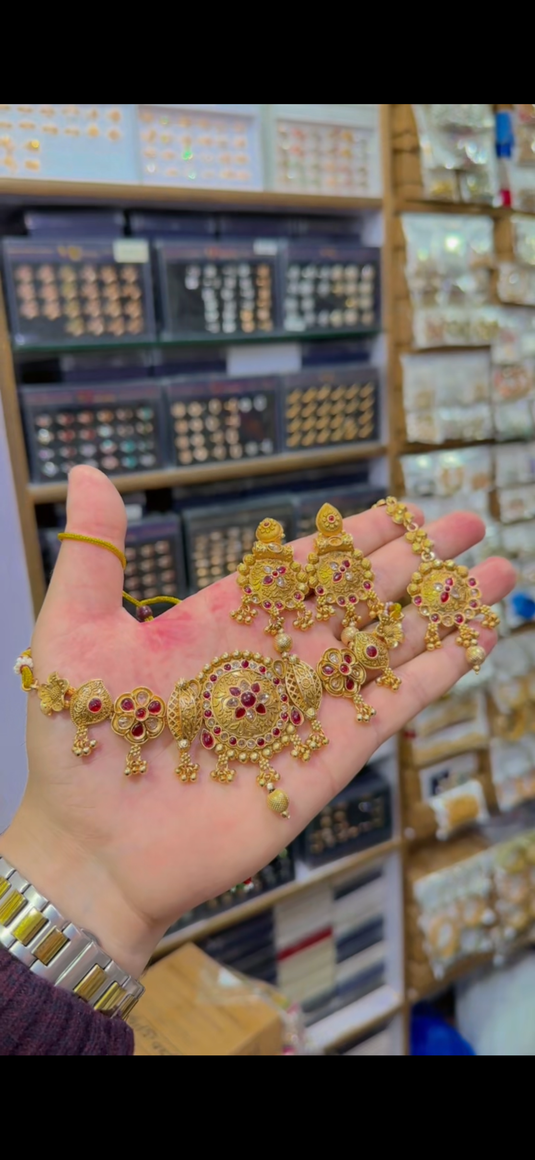 Rajwari Chokar set(Cs96)