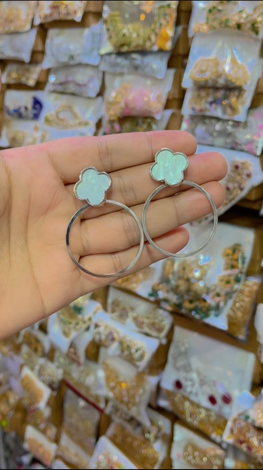 Stainless Steel Earrings(Er086)