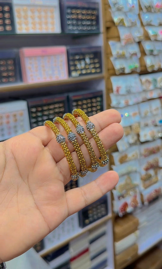 Rajwari style bangles (Bg276)