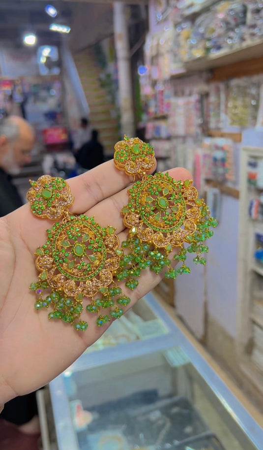 3D zircine Stones Earrings (Er100)