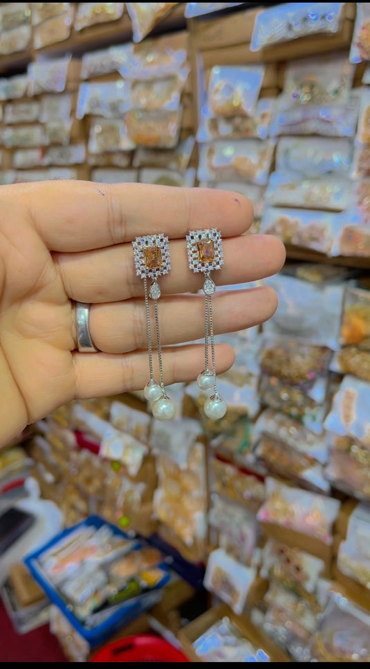 2 in 1 Earrings(Er056)