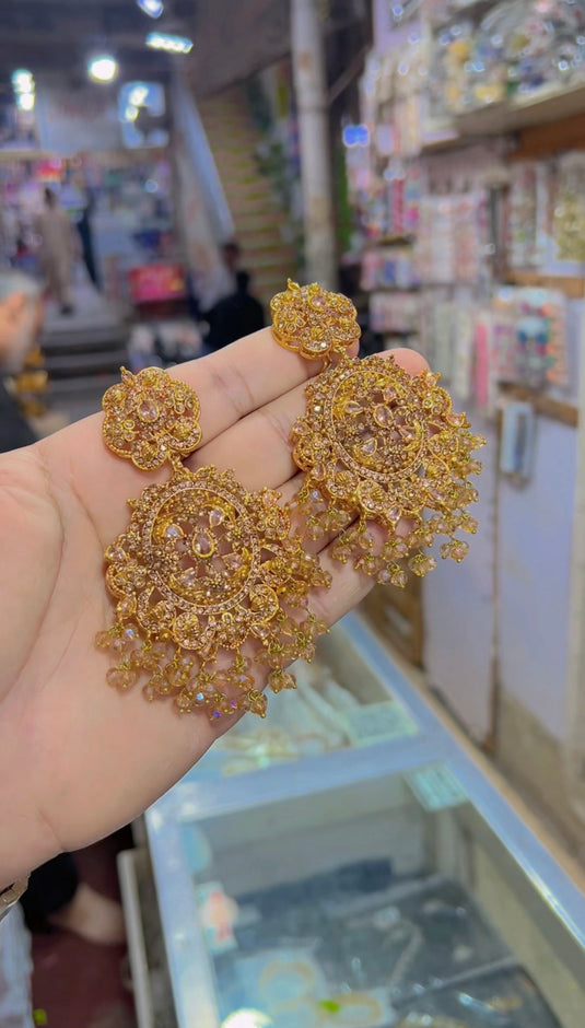 3D zircine Stones Earrings (Er100)