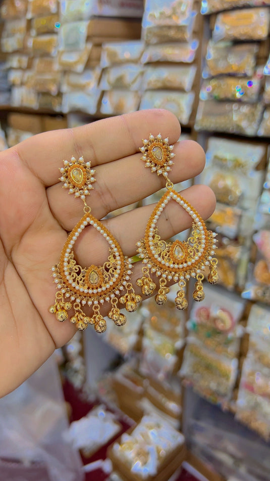 Fancy Earings(Er28)
