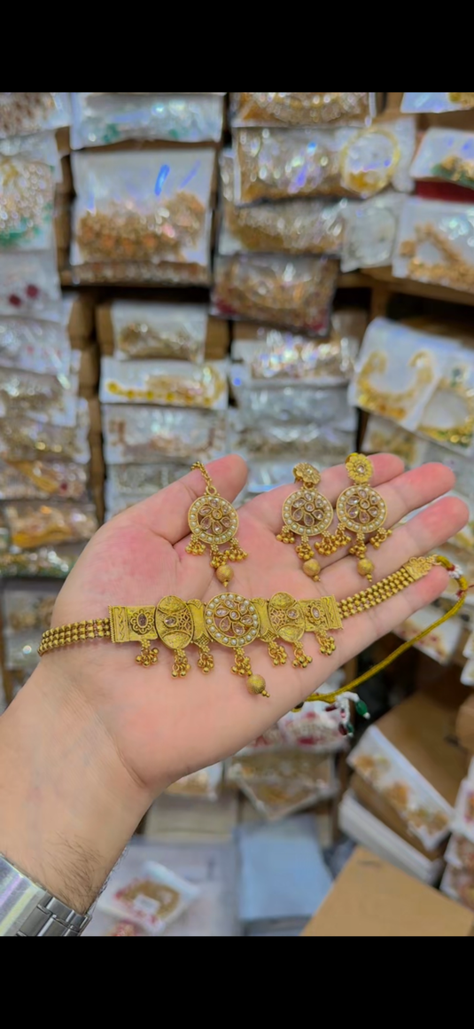 Rajwari Chokar set(Cs104)